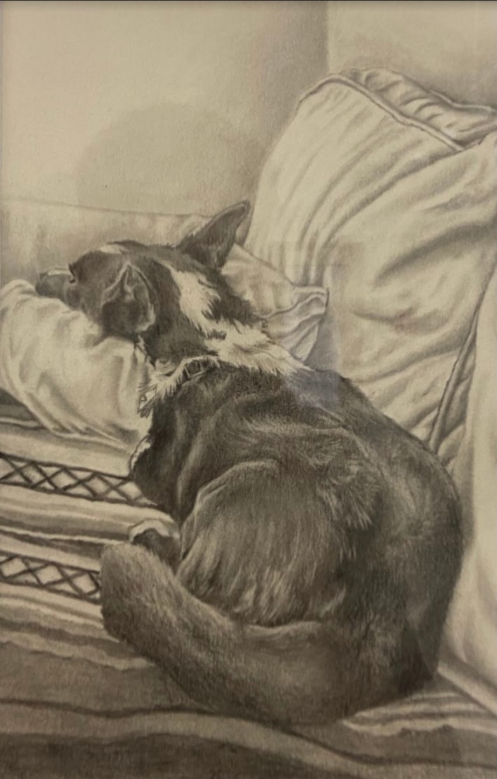 9 1 2 X 14 1 2 Frame